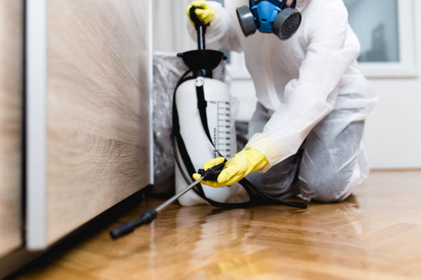 Best Rat Extermination Near Me  in Whitehall, OH