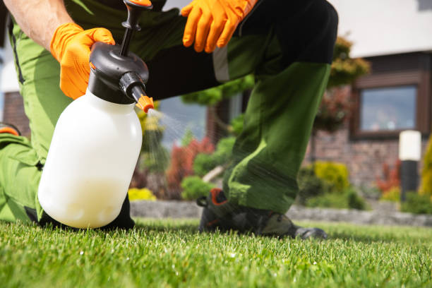 Best Best Pest Control Companies  in Whitehall, OH