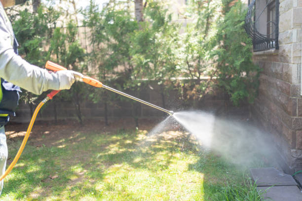 Best Affordable Pest Control Services  in Whitehall, OH