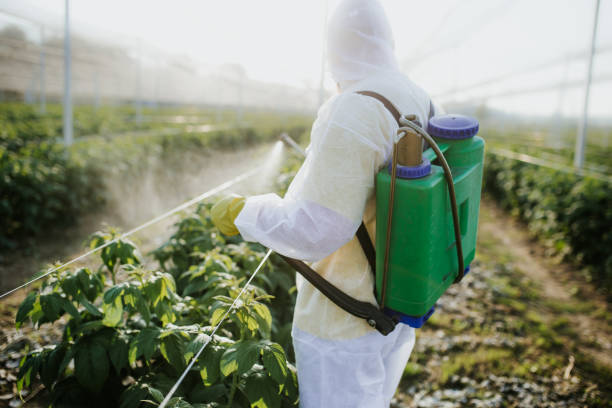 Best Residential Pest Control  in Whitehall, OH